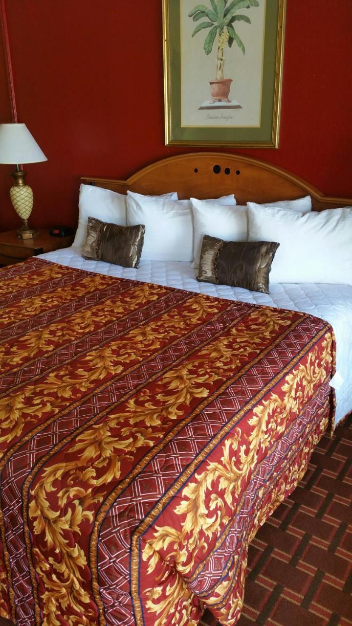 دانيا بيتش Palms Inn المظهر الخارجي الصورة